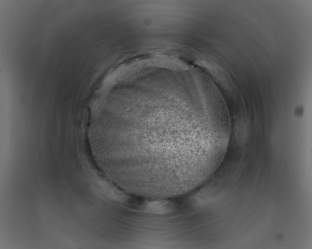 X0000092300461200709281330