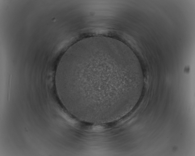 X0000092300462200709281330