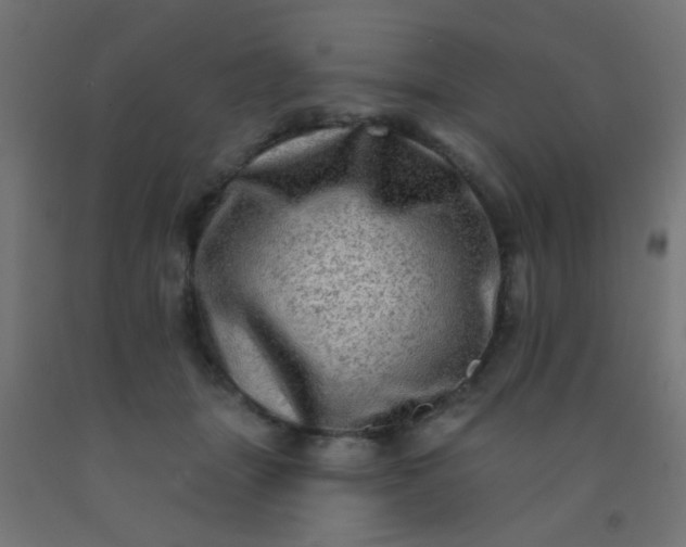 X0000092300463200709281330