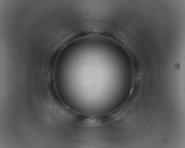 X0000092300464200709281330