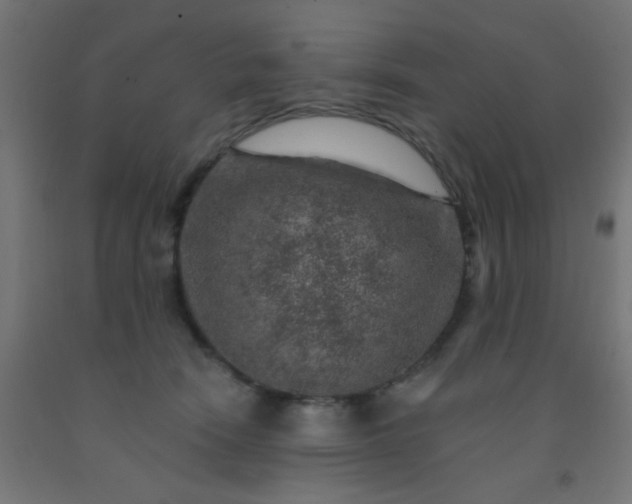 X0000092300466200709281330