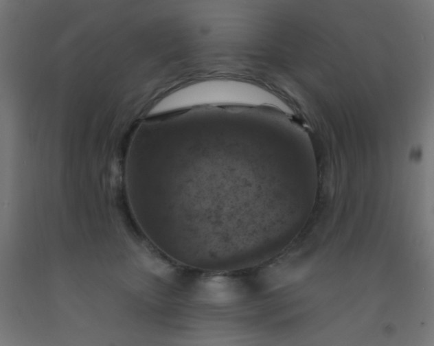 X0000092300467200709281330