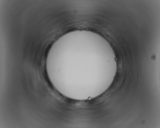 X0000092300468200709281330