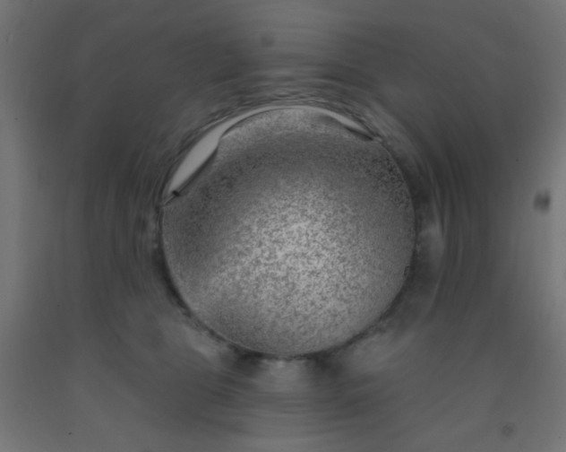 X0000092300469200709281330