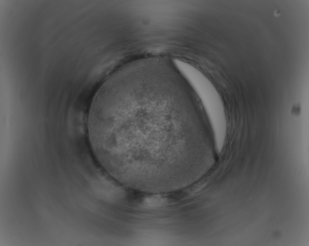 X0000092300470200709281330