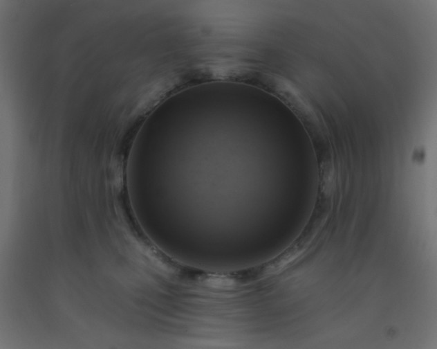 X0000092300471200709281330