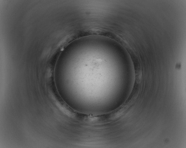 X0000092300472200709281330