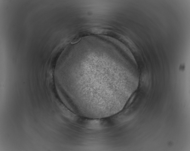 X0000092300473200709281330