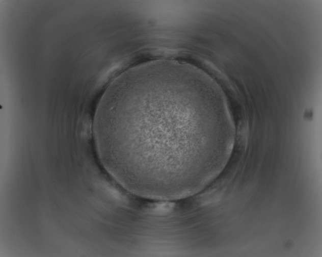 X0000092300474200709281330