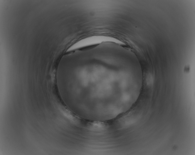 X0000092300475200709281330