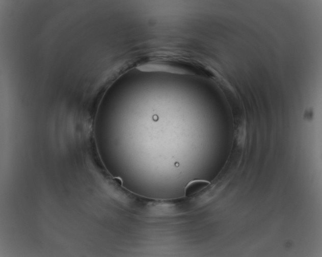 X0000092300476200709281330