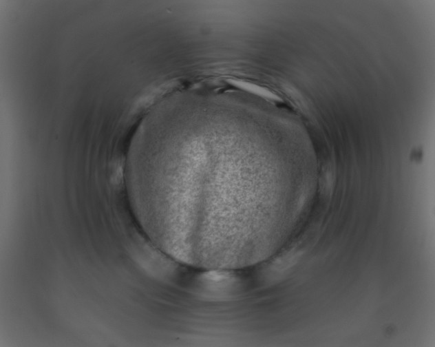 X0000092300477200709281330