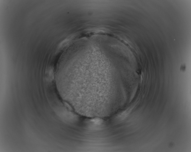 X0000092300478200709281330