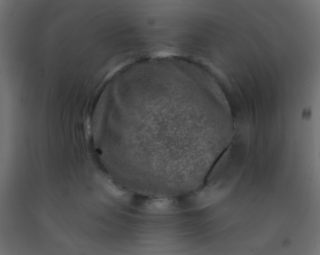 X0000092300479200709281330