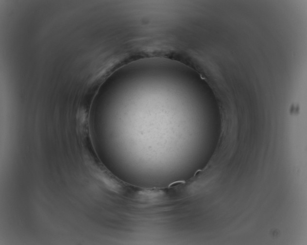 X0000092300480200709281330