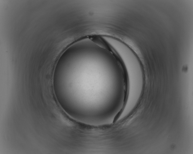 X0000092300481200709281329