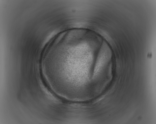 X0000092300482200709281329