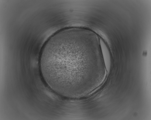 X0000092300483200709281329