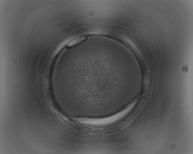 X0000092300484200709281329