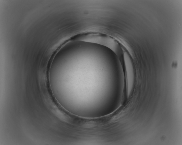 X0000092300485200709281329