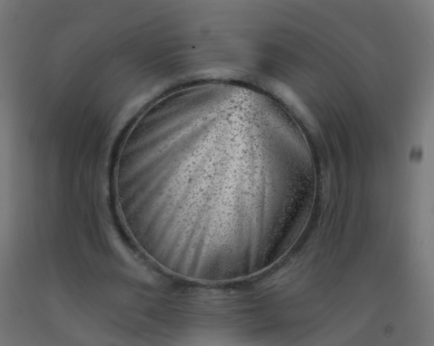 X0000092300486200709281329