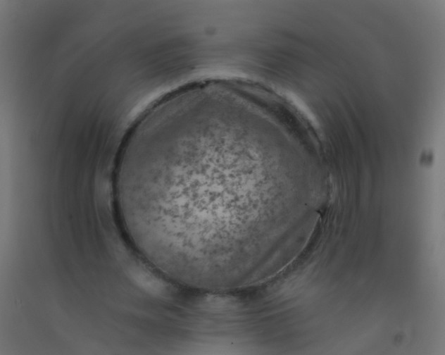 X0000092300487200709281329