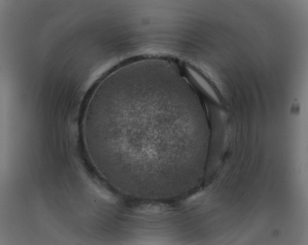 X0000092300488200709281329