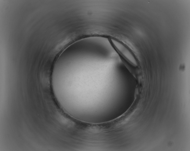 X0000092300489200709281329