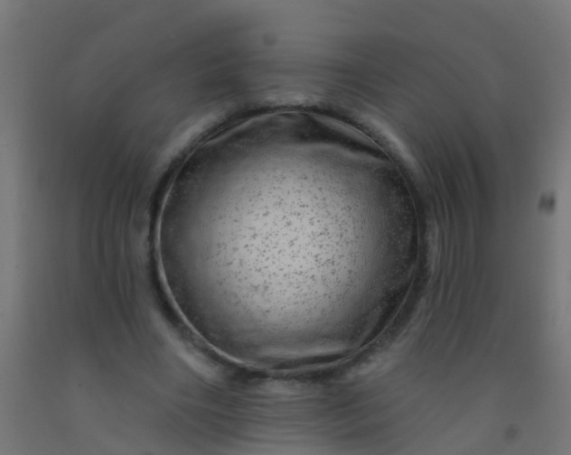 X0000092300490200709281329