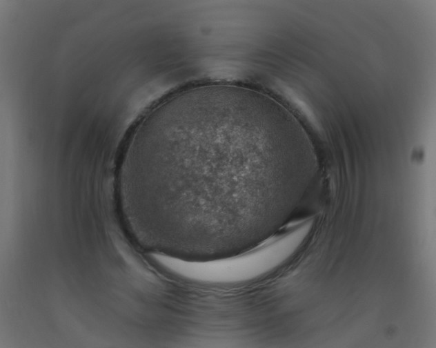 X0000092300492200709281329