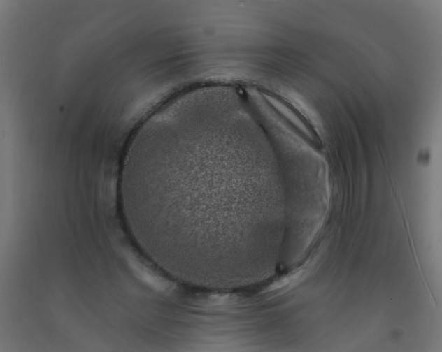 X0000092300493200709281329