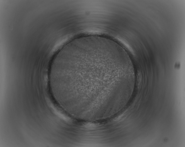 X0000092300494200709281329