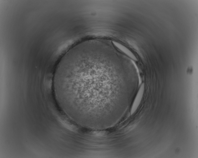 X0000092300495200709281329