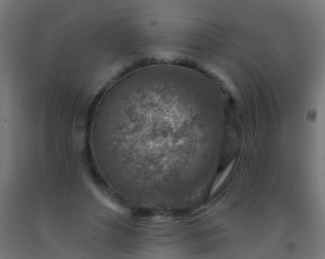 X0000092300496200709281329