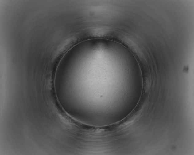 X0000092300497200709281329