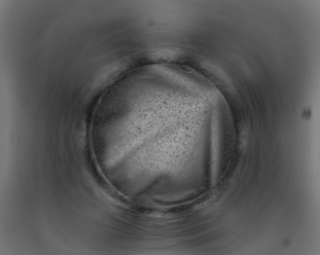 X0000092300498200709281329