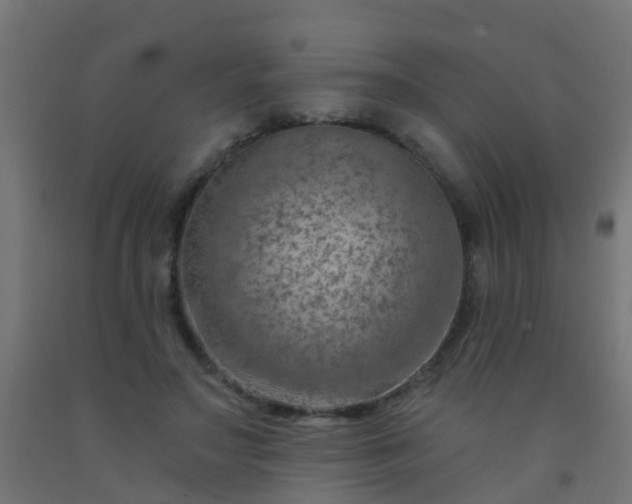 X0000092300499200709281329