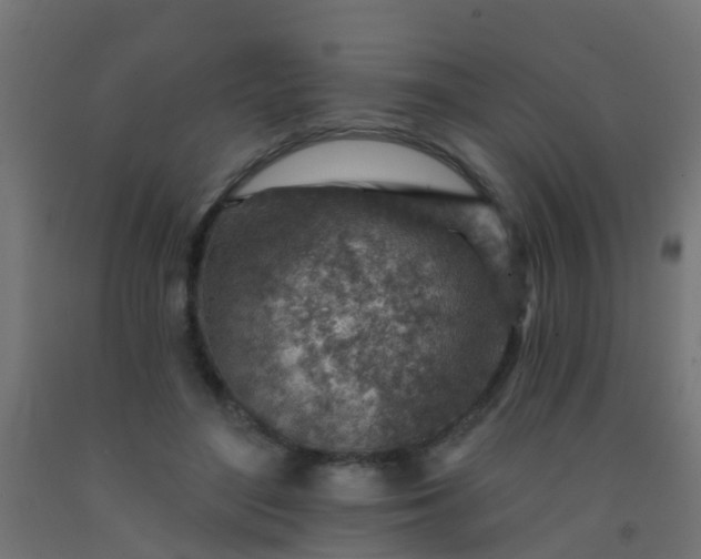 X0000092300500200709281329