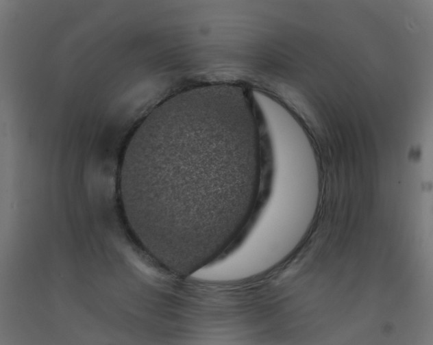 X0000092300501200709281329