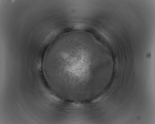 X0000092300502200709281329