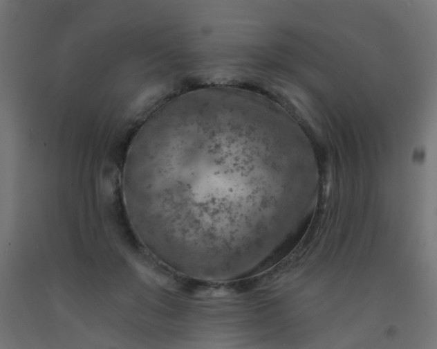 X0000092300503200709281329