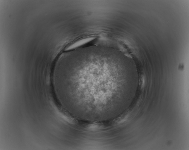 X0000092300504200709281329