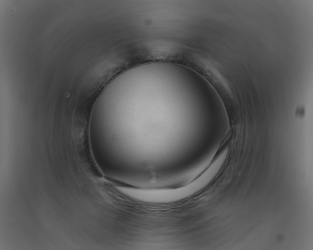 X0000092300505200709281329