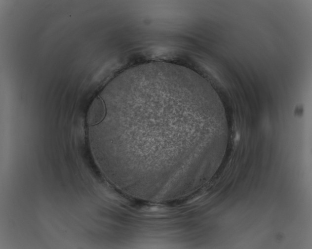 X0000092300506200709281329