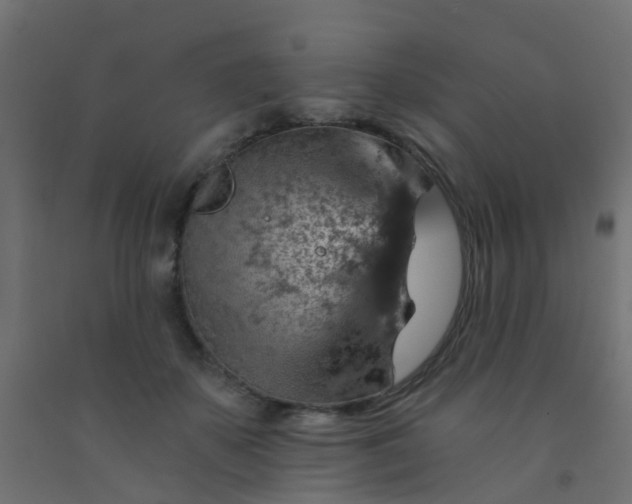 X0000092300507200709281329