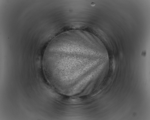 X0000092300510200709281329