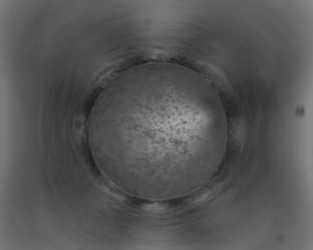 X0000092300511200709281329