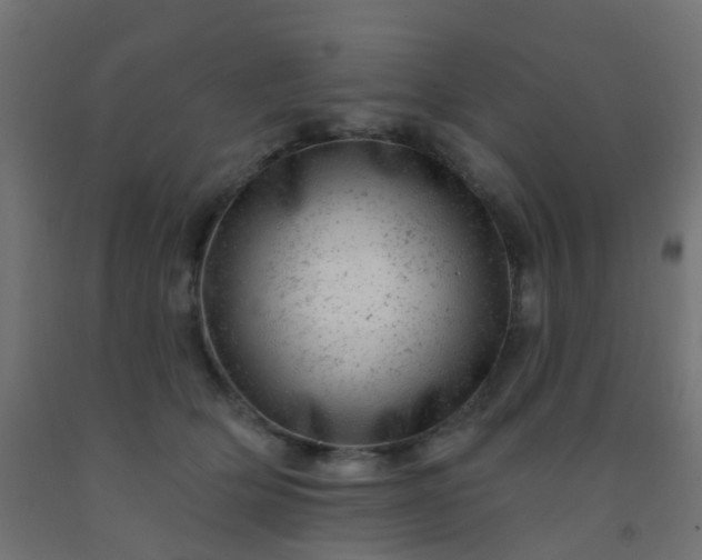 X0000092300514200709281329