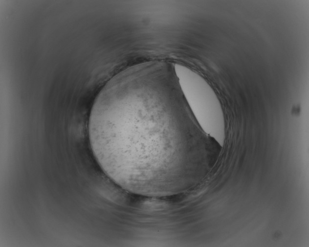 X0000092300515200709281329