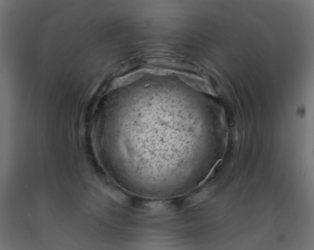 X0000092300516200709281329